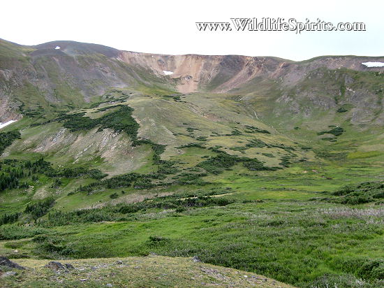 Click Picture to send as an  E-PostCard 65k 550x412